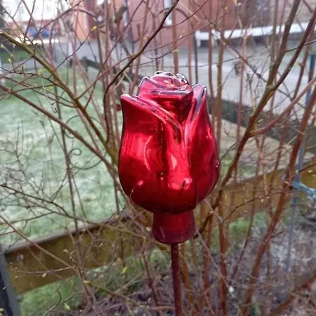 Apartament Ms Stoertebecker, Sandwall Wyk auf Föhr